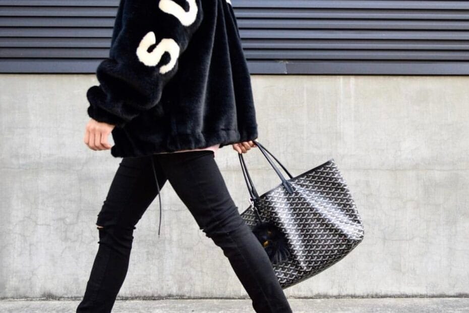 Adidas Yeezy Boost 350 V2